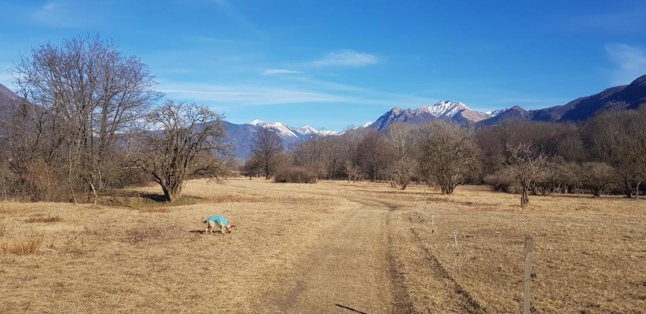 Appartamento Di Vacanza Casa Leoni Verscio Extérieur photo